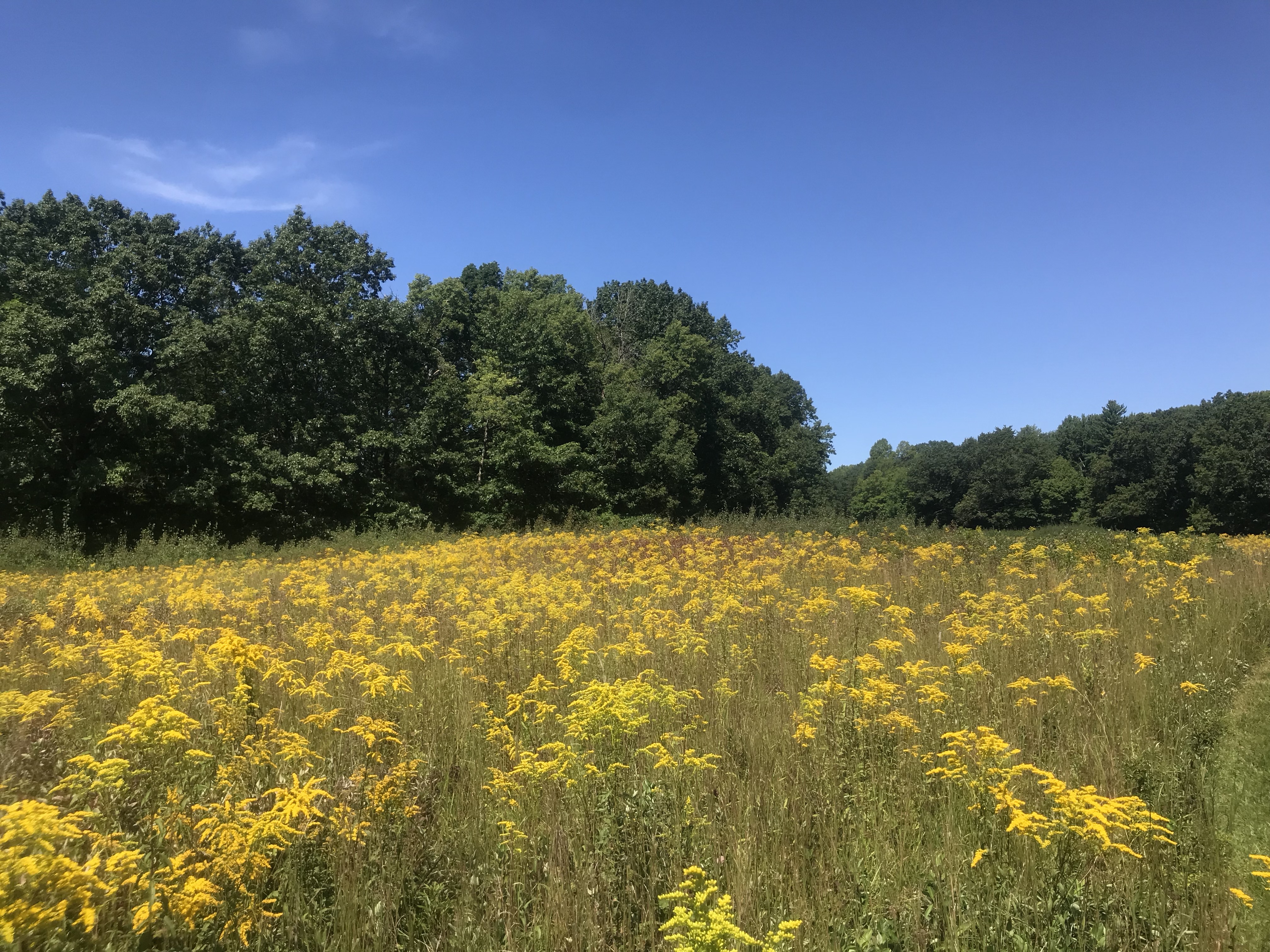 JzOI5oBsRzK1U1XfIPpeUg