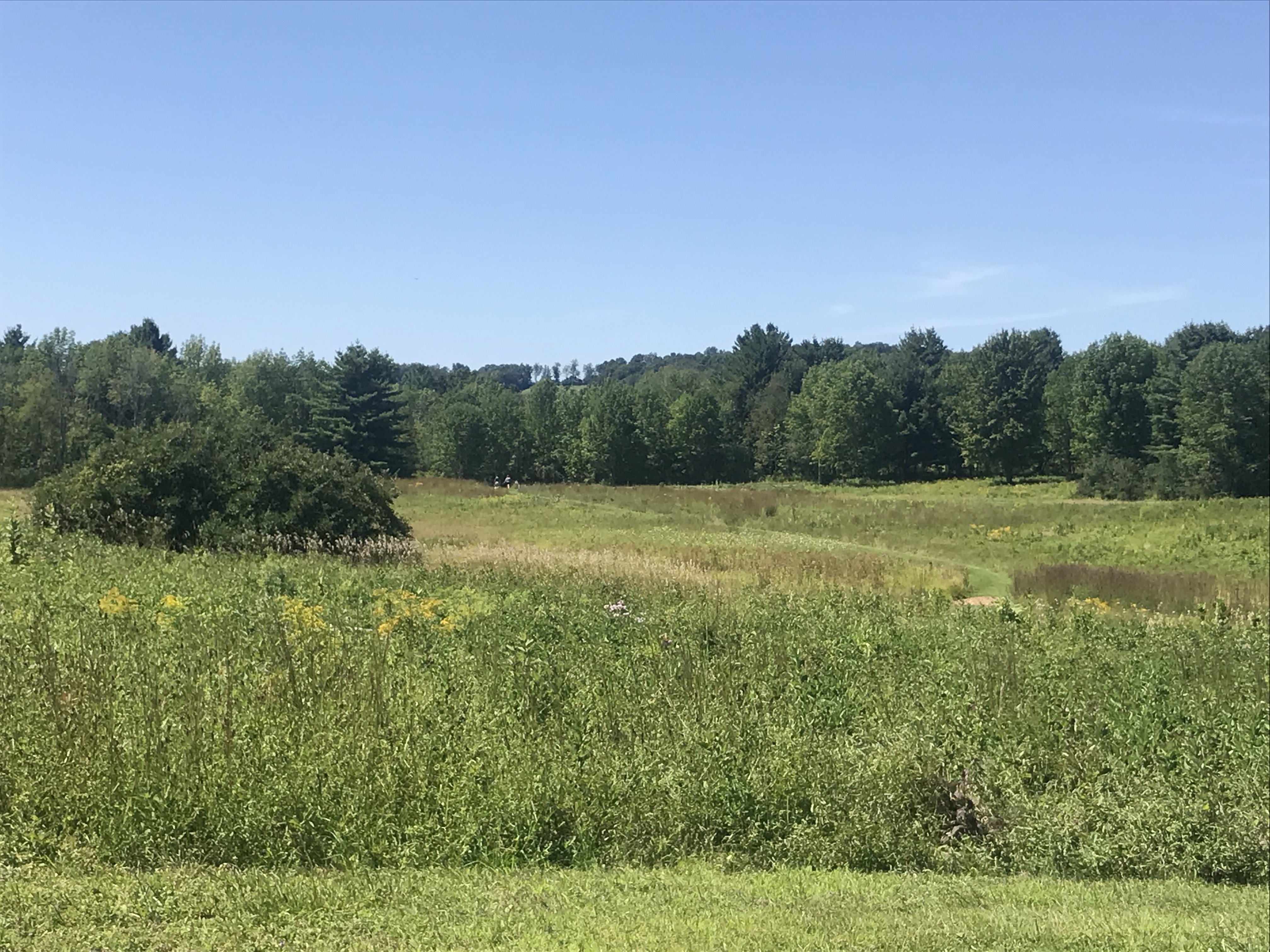 skREPjHqSGK98FqzhZeXDg