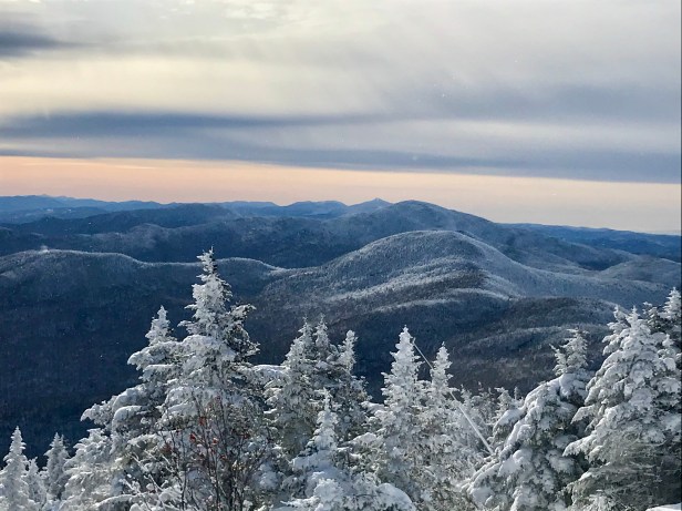 5408C820-B20D-447A-B27C-235CFD0C825F_1_201_a